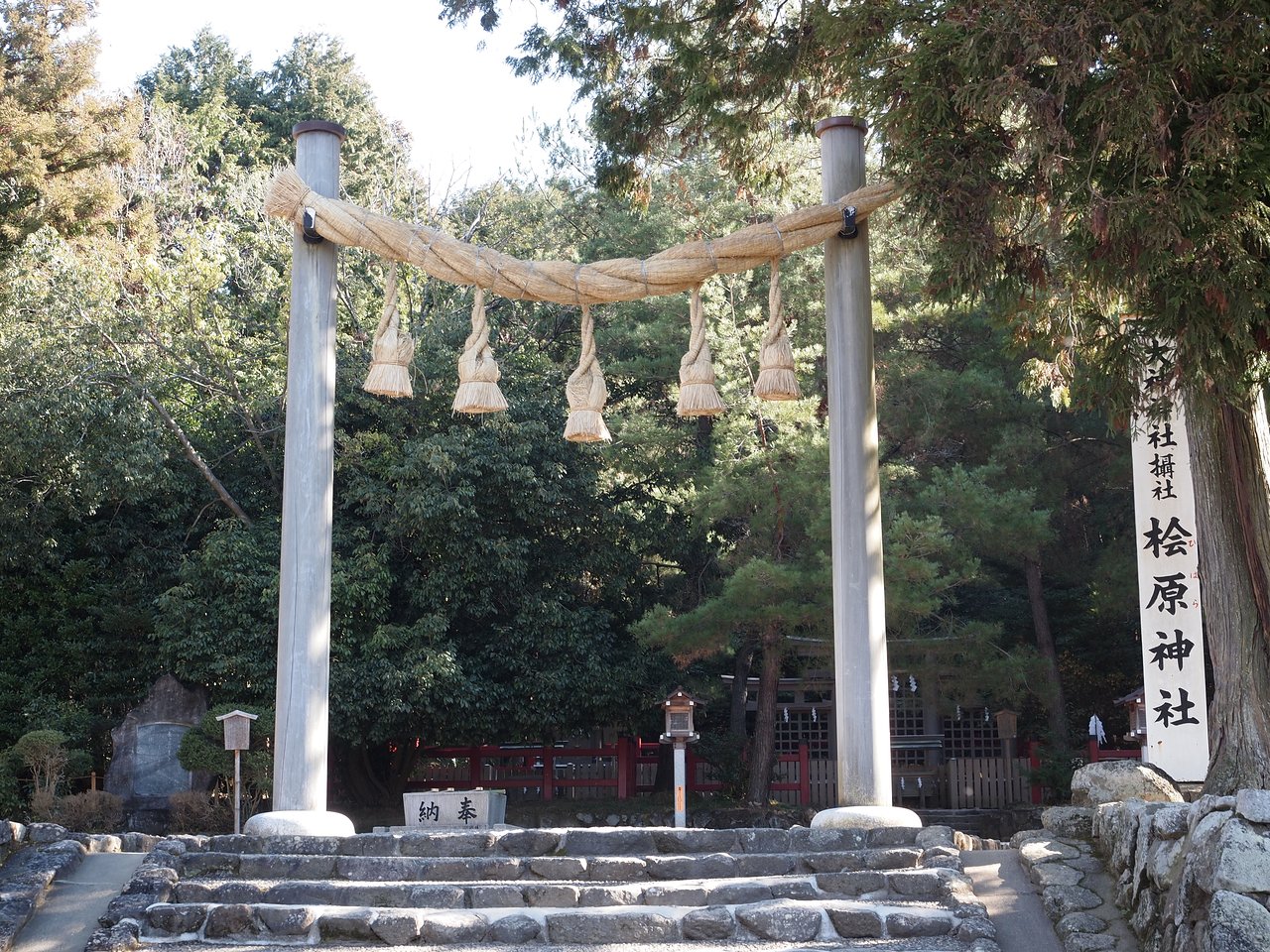 cong-torii-9 cong-torii-9