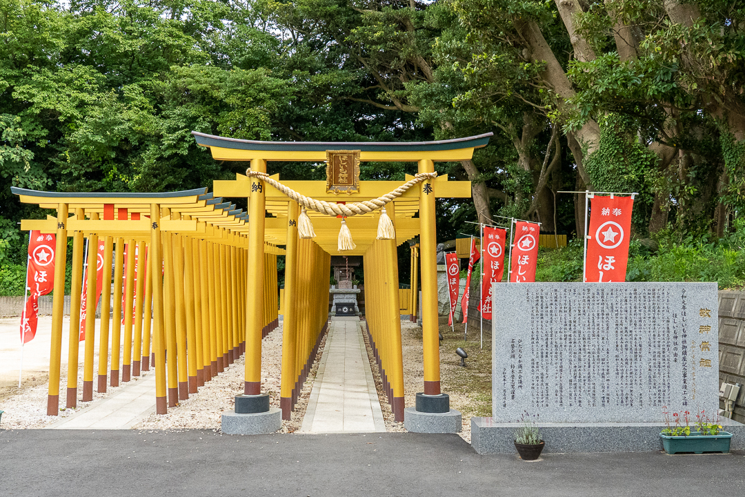 cong-torii-4 cong-torii-4