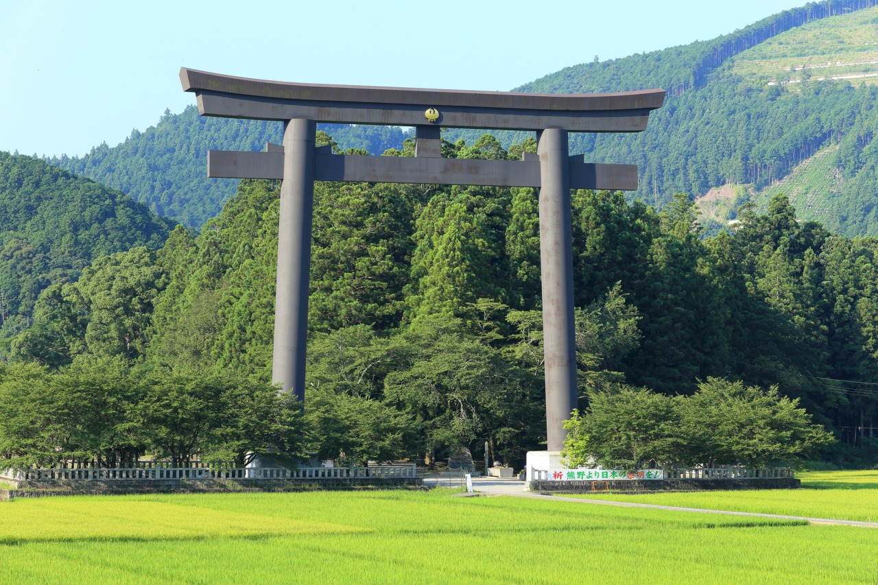 cong-torii-15 cong-torii-15