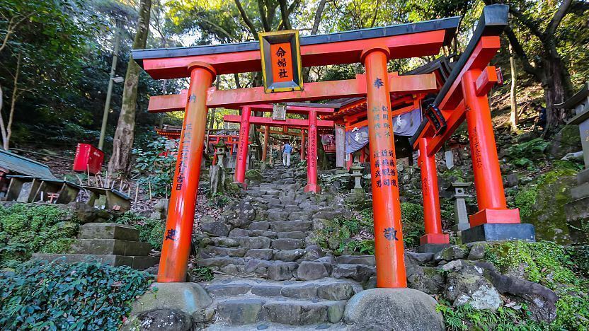 cong-torii-17 cong-torii-17