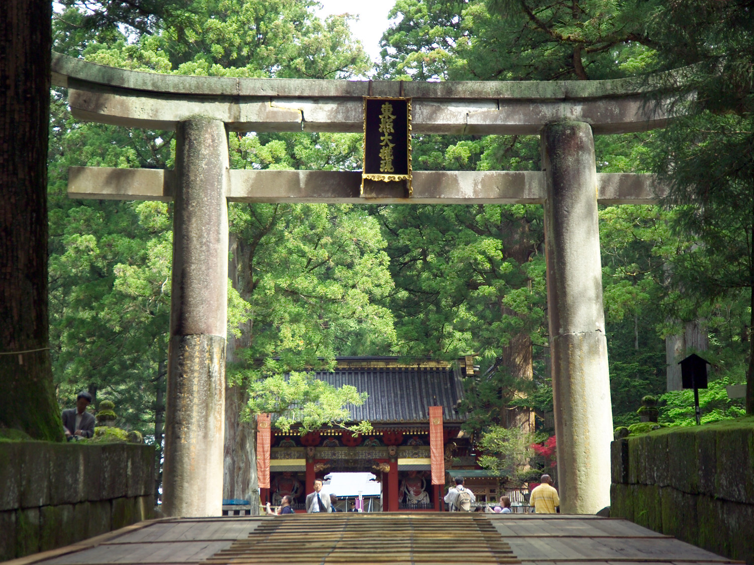 cong-torii-14 cong-torii-14