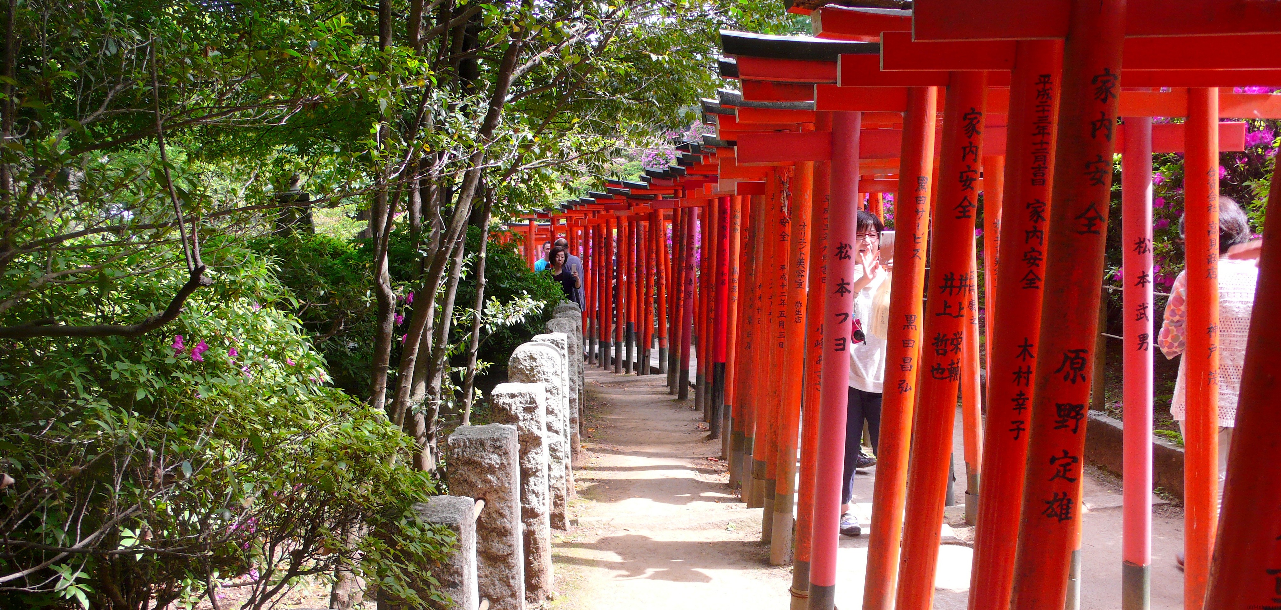 cong-torii-16 cong-torii-16