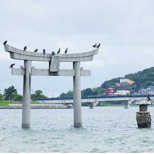Cổng Torii Nhật Bản: Sự giao thoa giữa tín ngưỡng và kiến trúc linh thiêng
