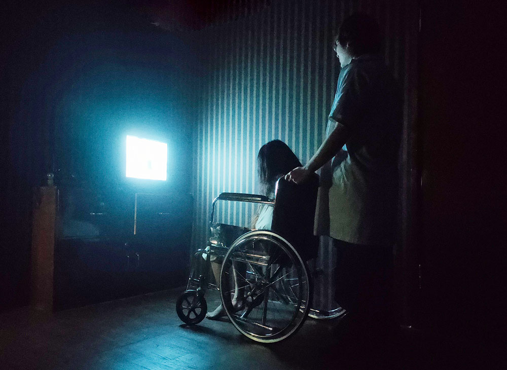 miss-terry miss-terry