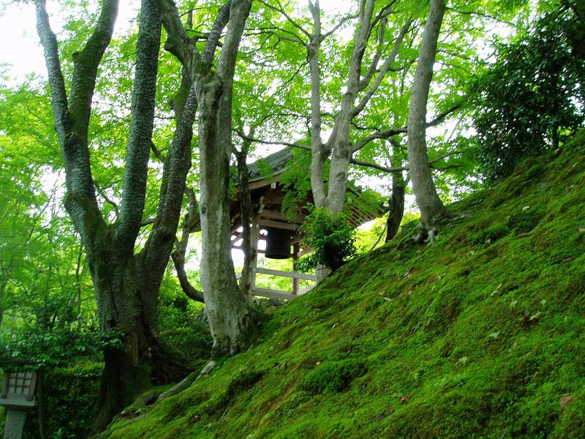jojakoji jojakoji