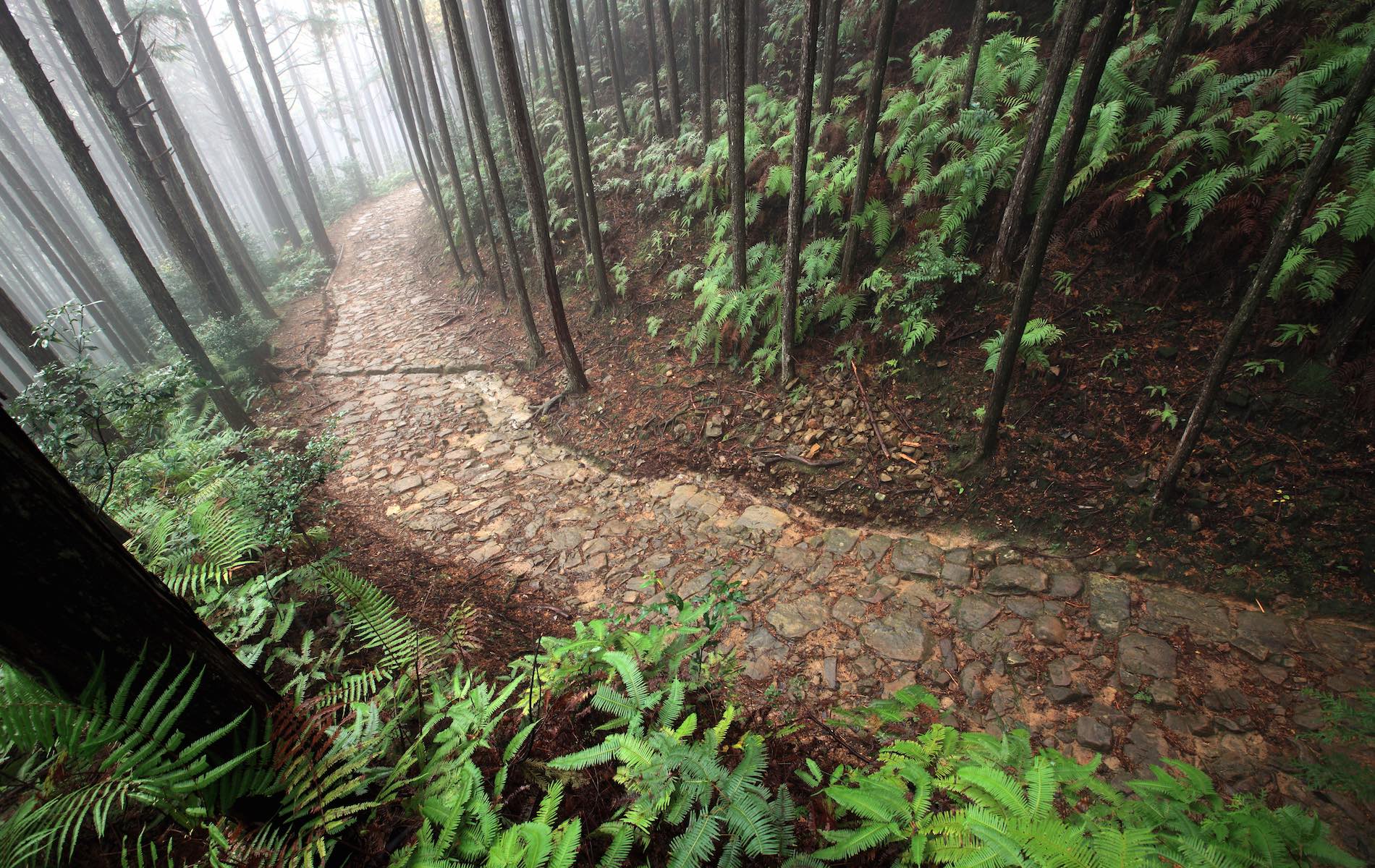 kumano-kodo kumano-kodo