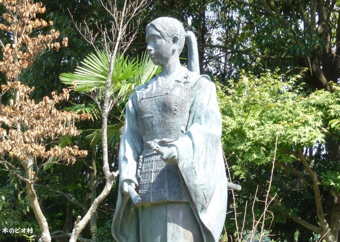 tsuruhime tsuruhime