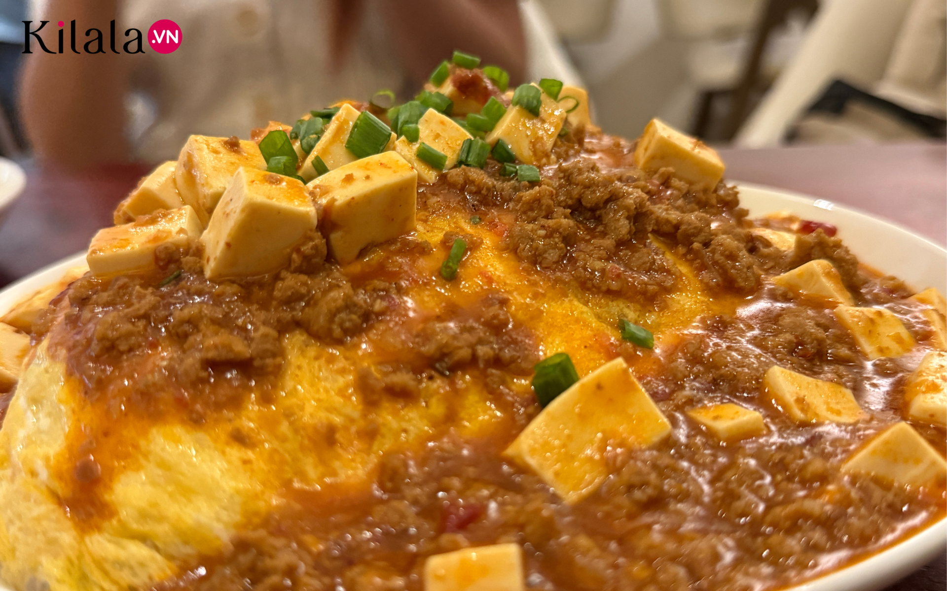 omurice-mapo-tofu
