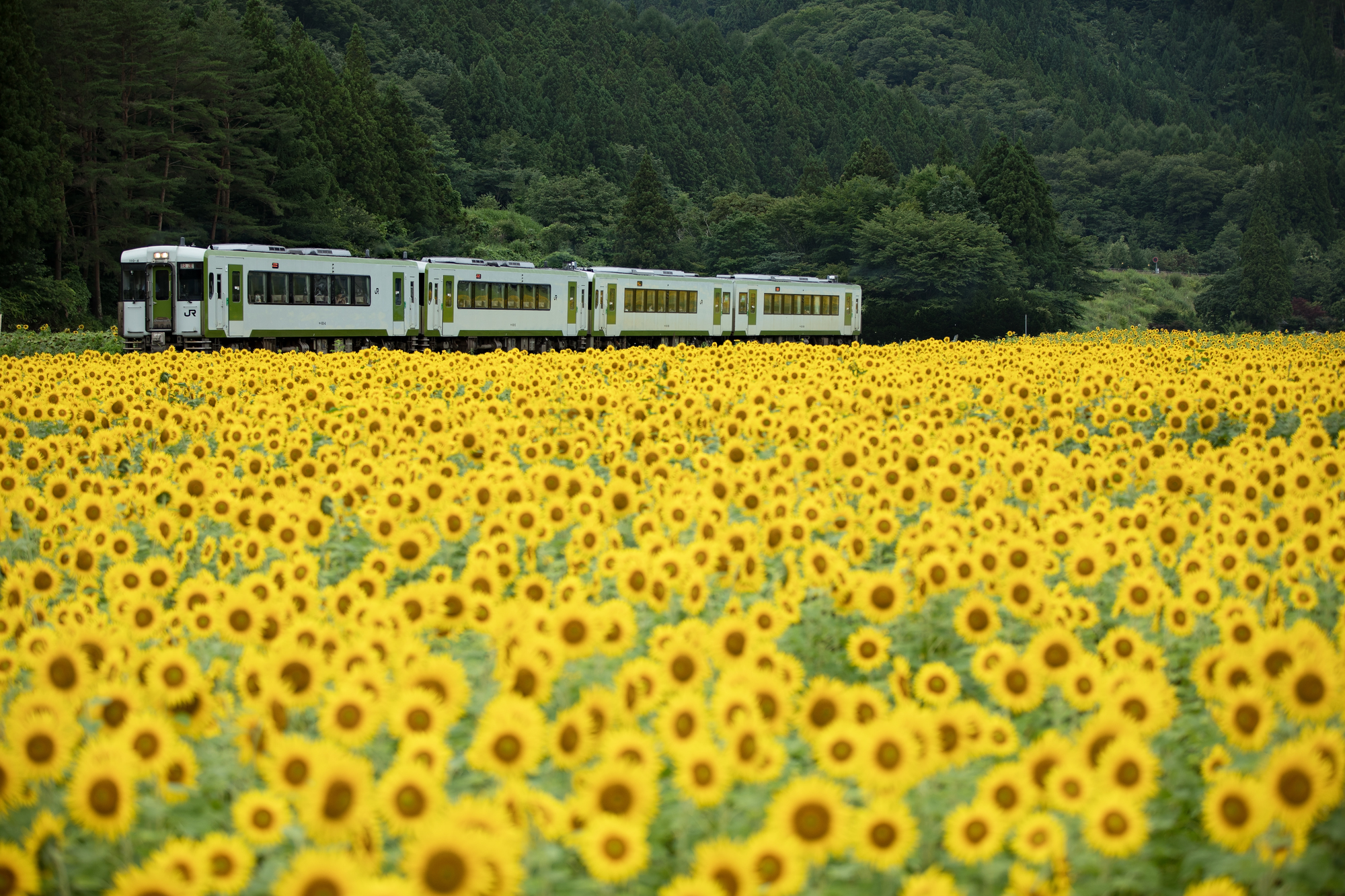 kamaishi kamaishi