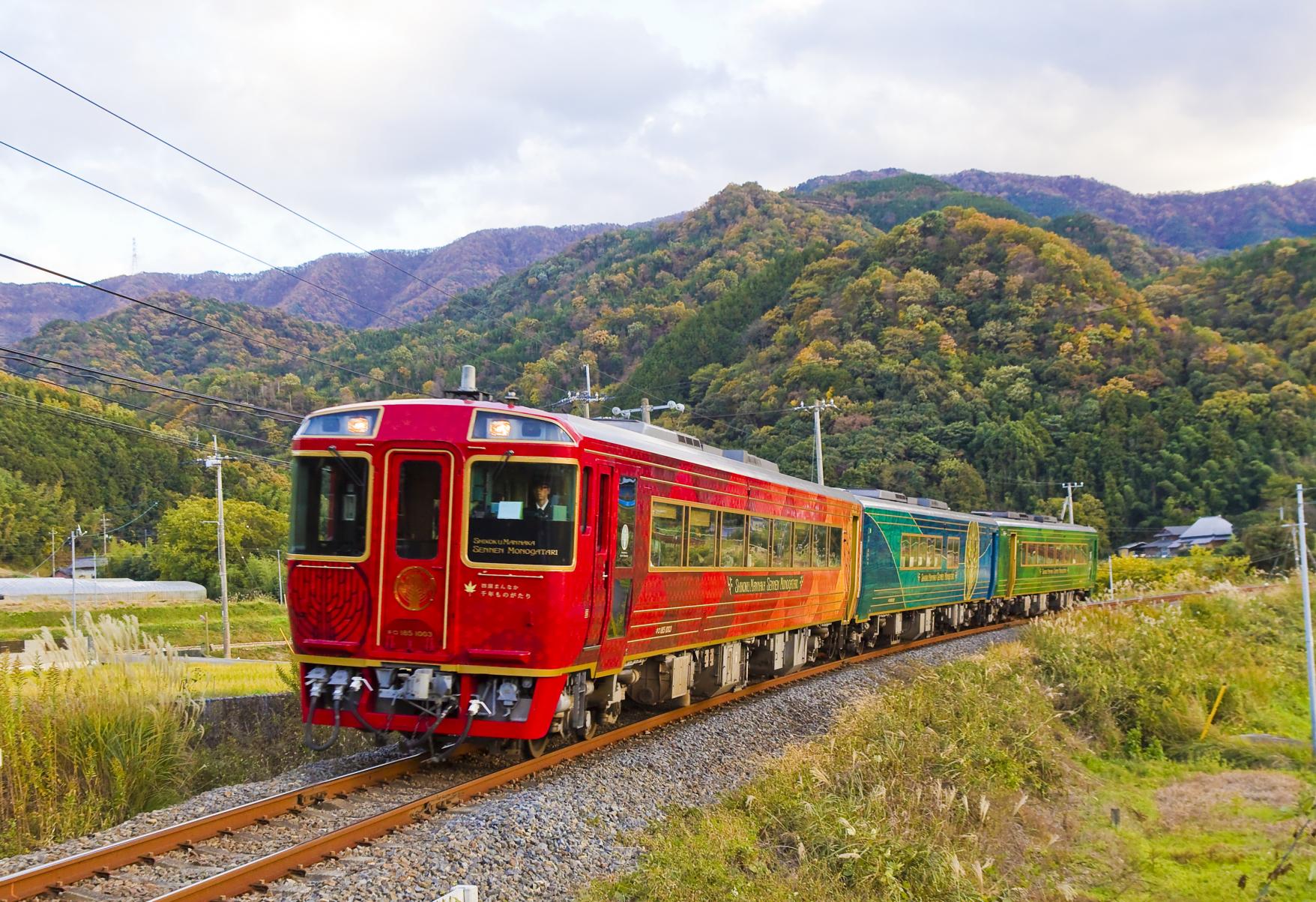 shikoku shikoku