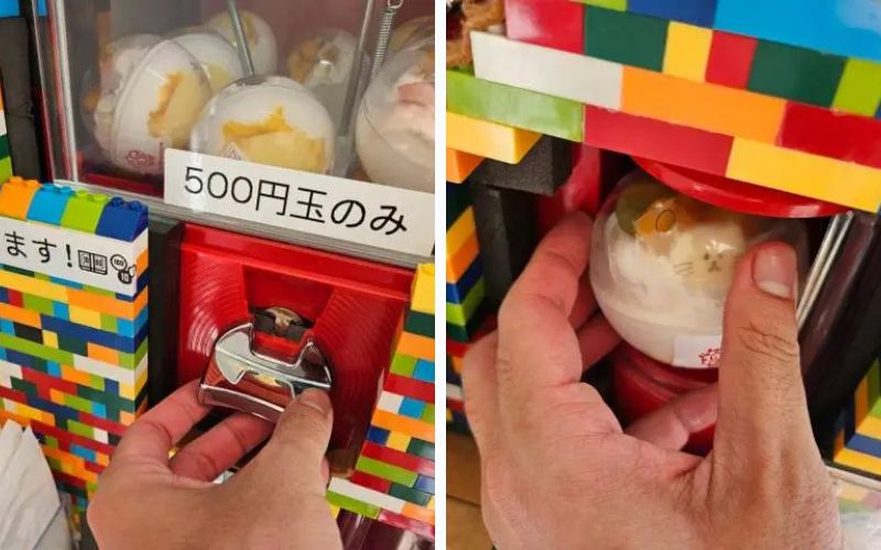 gacha gacha (4)