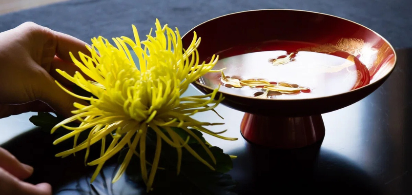 Thưởng rượu ngắm hoa vào ngày Choyo: lễ hội truyền thống vào mùa thu Nhật Bản