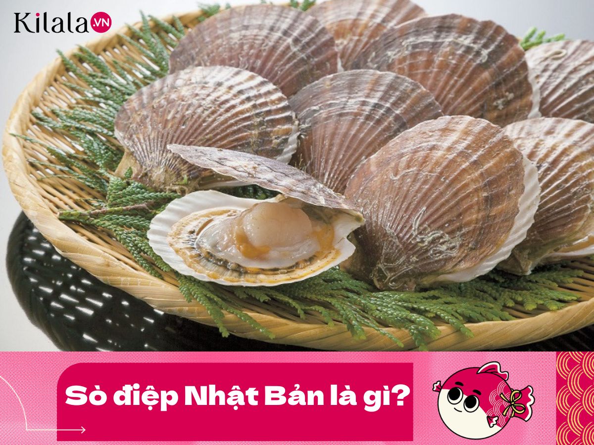 so-diep-la-gi so-diep-la-gi