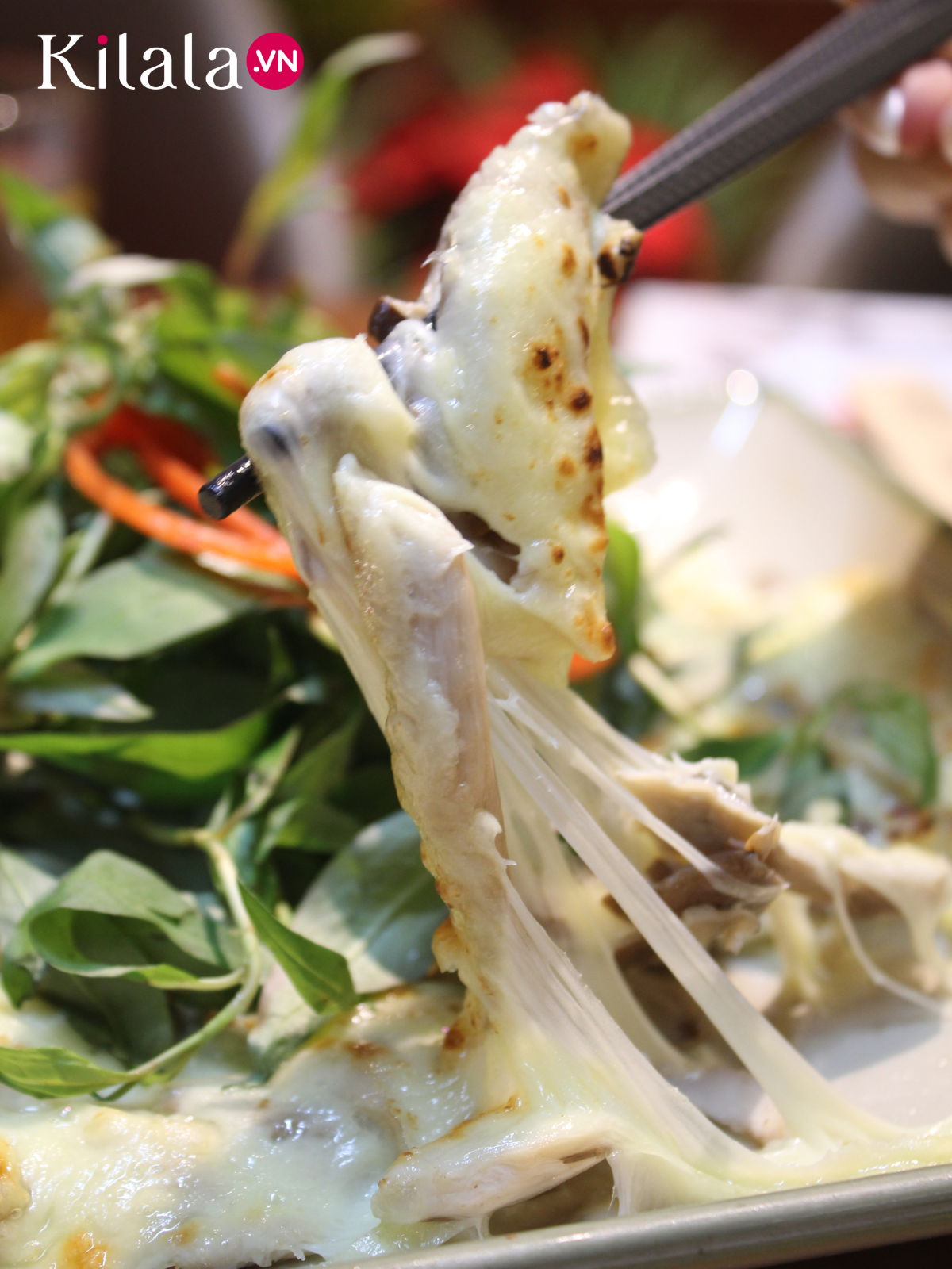 nấm-nhật-đút-lò nam-nhat-dut-lo