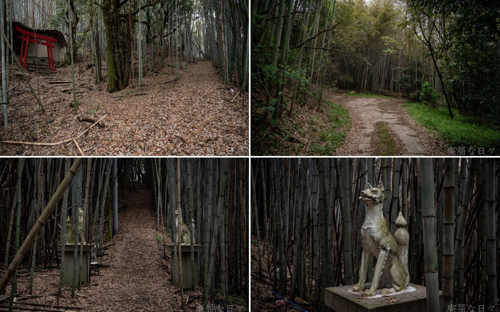kagawa-itamon-jinja kagawa-itamon-jinja