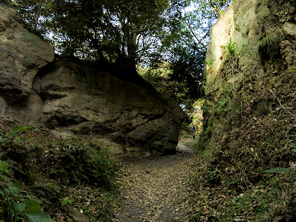 Kanagawa Kanagawa-kamakura-burabura