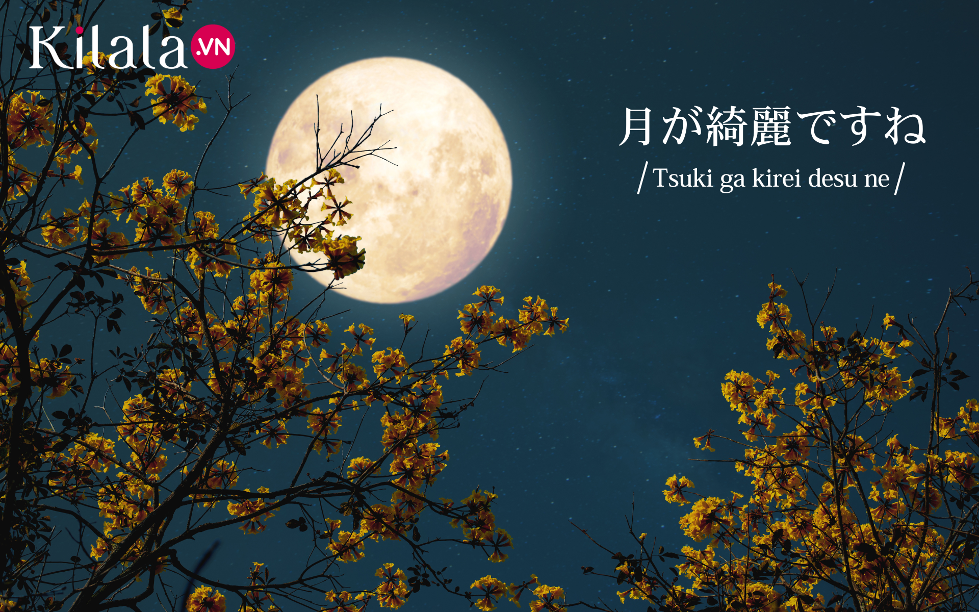 Tsuki ga kirei desu ne
