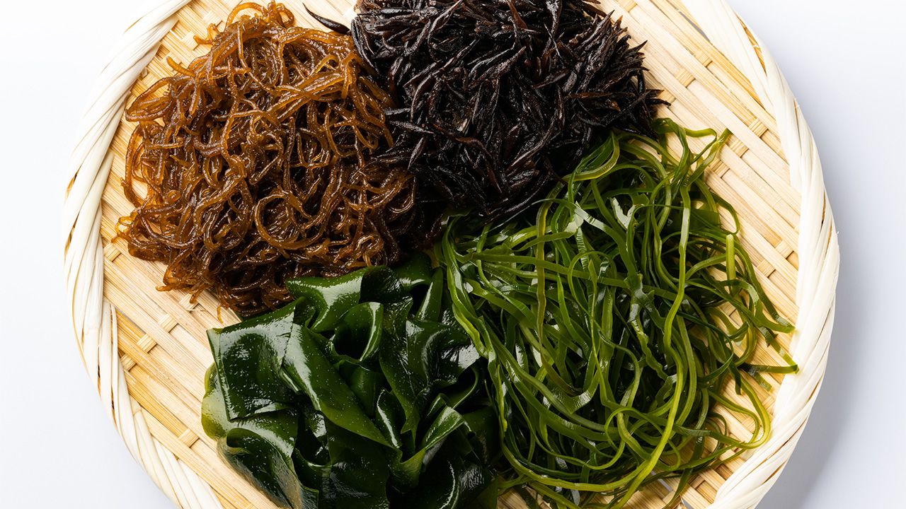 wakame wakame