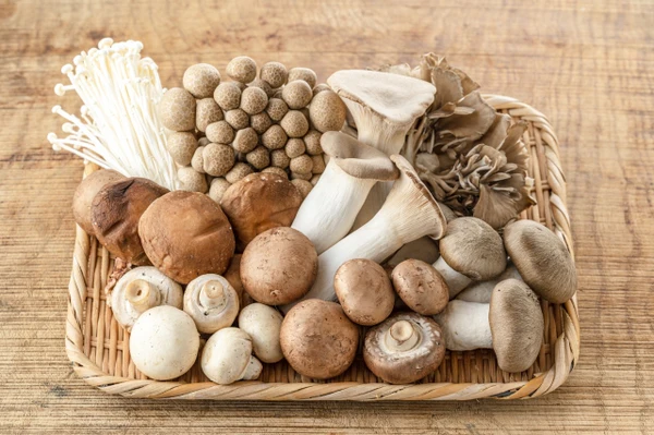 shiitake shiitake