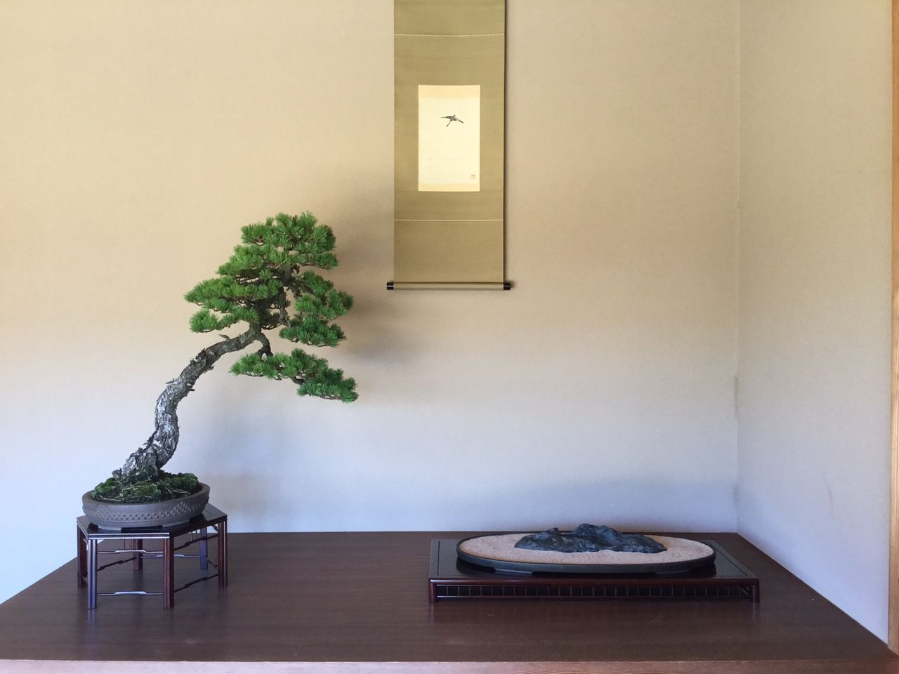 bonsai bonsai
