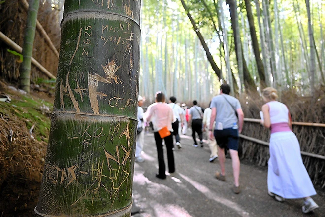 rung-tre-arashiyama-ve-bay-4 rung-tre-arashiyama-ve-bay-4