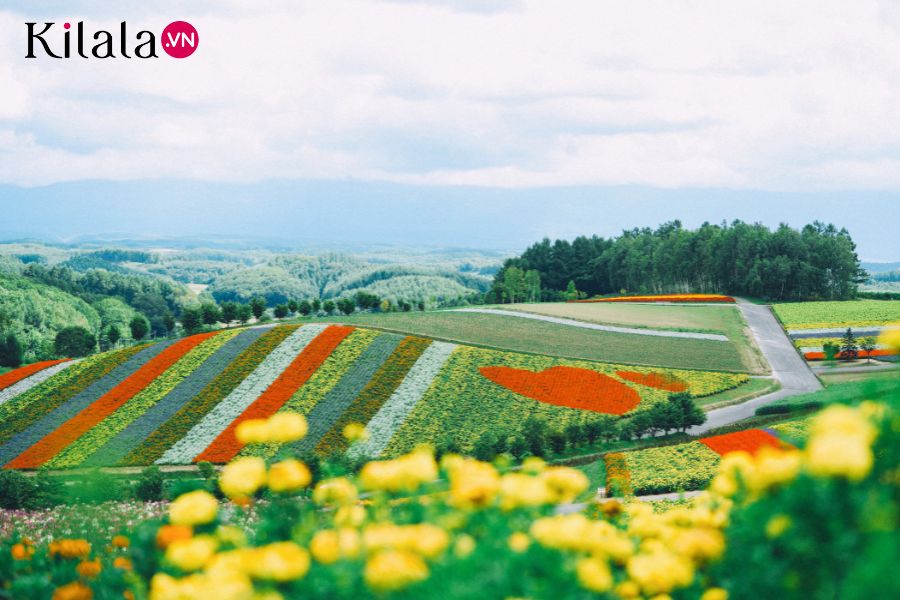 Hokkaido Hokkaido
