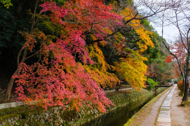 kyoto