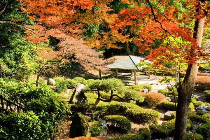 yamaguchi-công-viên-kikko