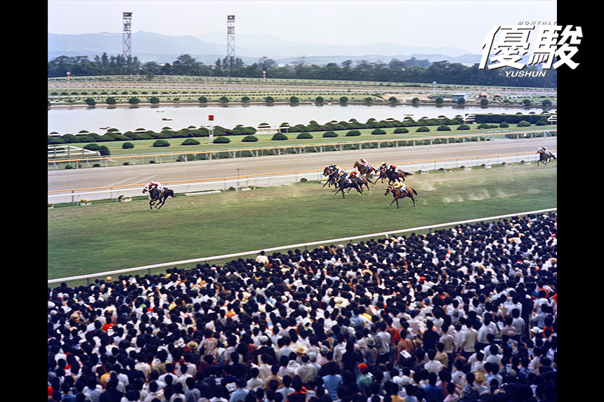 haiseiko-chiến-thắng-takarakuza-kinen