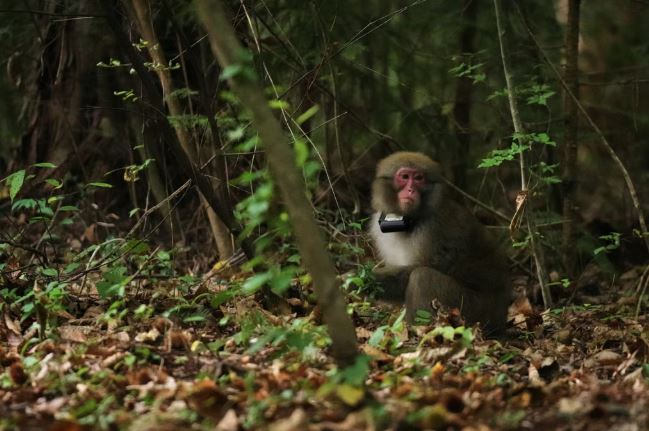 khi-thiet-bi-theo-doi