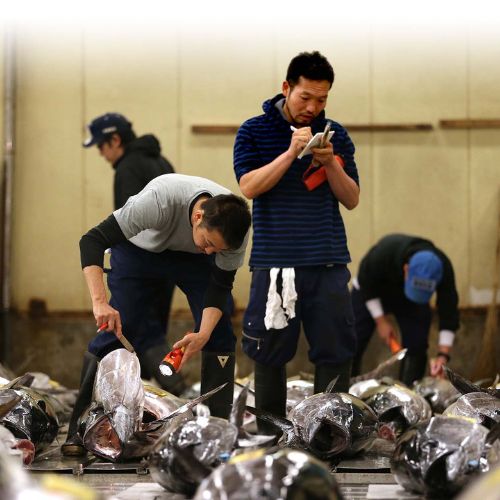 Chợ Tsukiji: Lịch sử và di sản của khu chợ cá lớn nhất Tokyo một thời