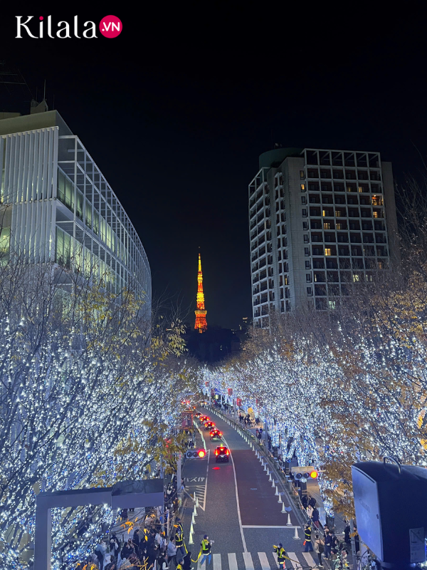 1734950302-illumination