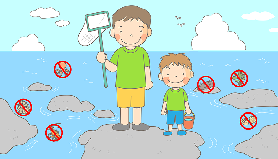 Nhật Bản mạnh tay với nạn săn trộm hải sản