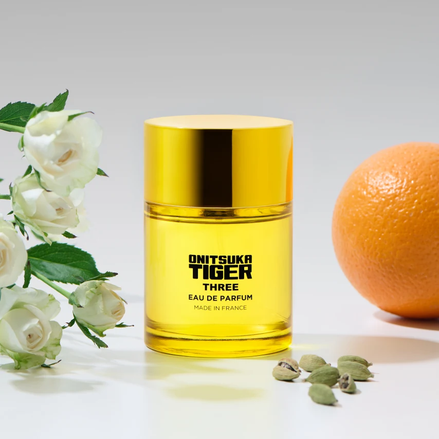 onitsuka-tiger-three