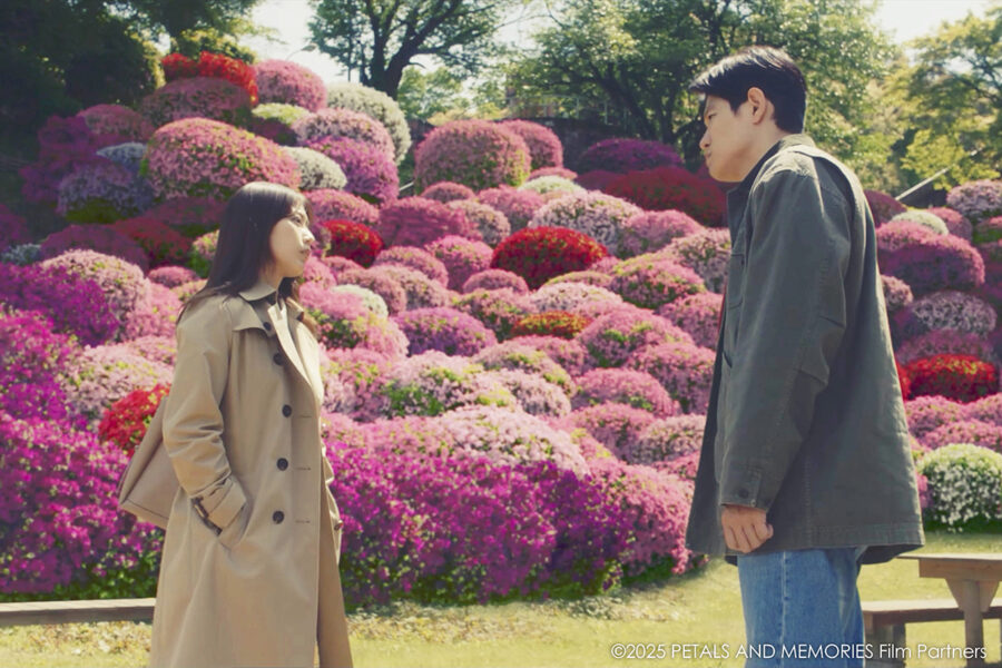 Petals-and-memories-4-900x600