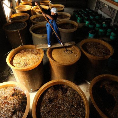 Người Nhật có ăn nước mắm không?