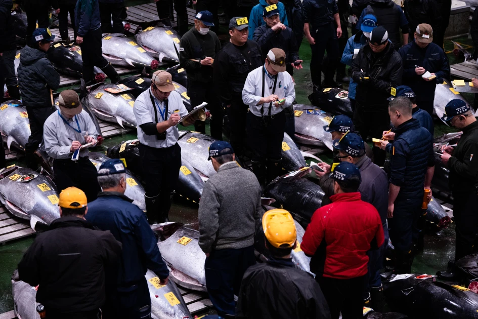 phiên-đấu-giá-đầu-năm-chợ-toyosu