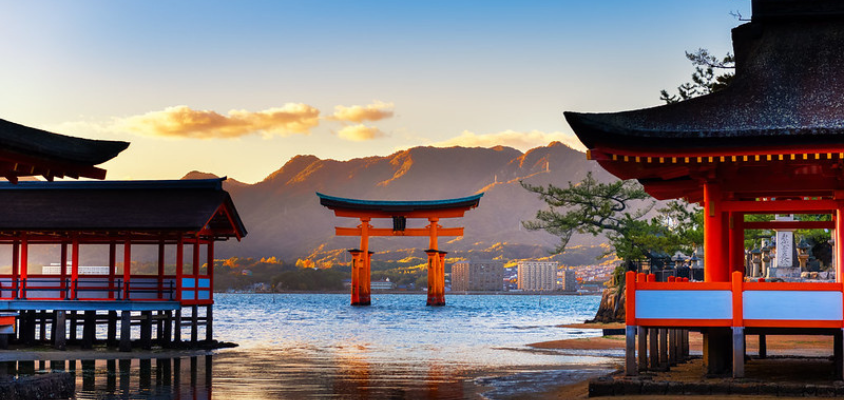 Chiêm ngưỡng những cánh cổng Torii "lơ lửng" giữa biển hồ tại Nhật