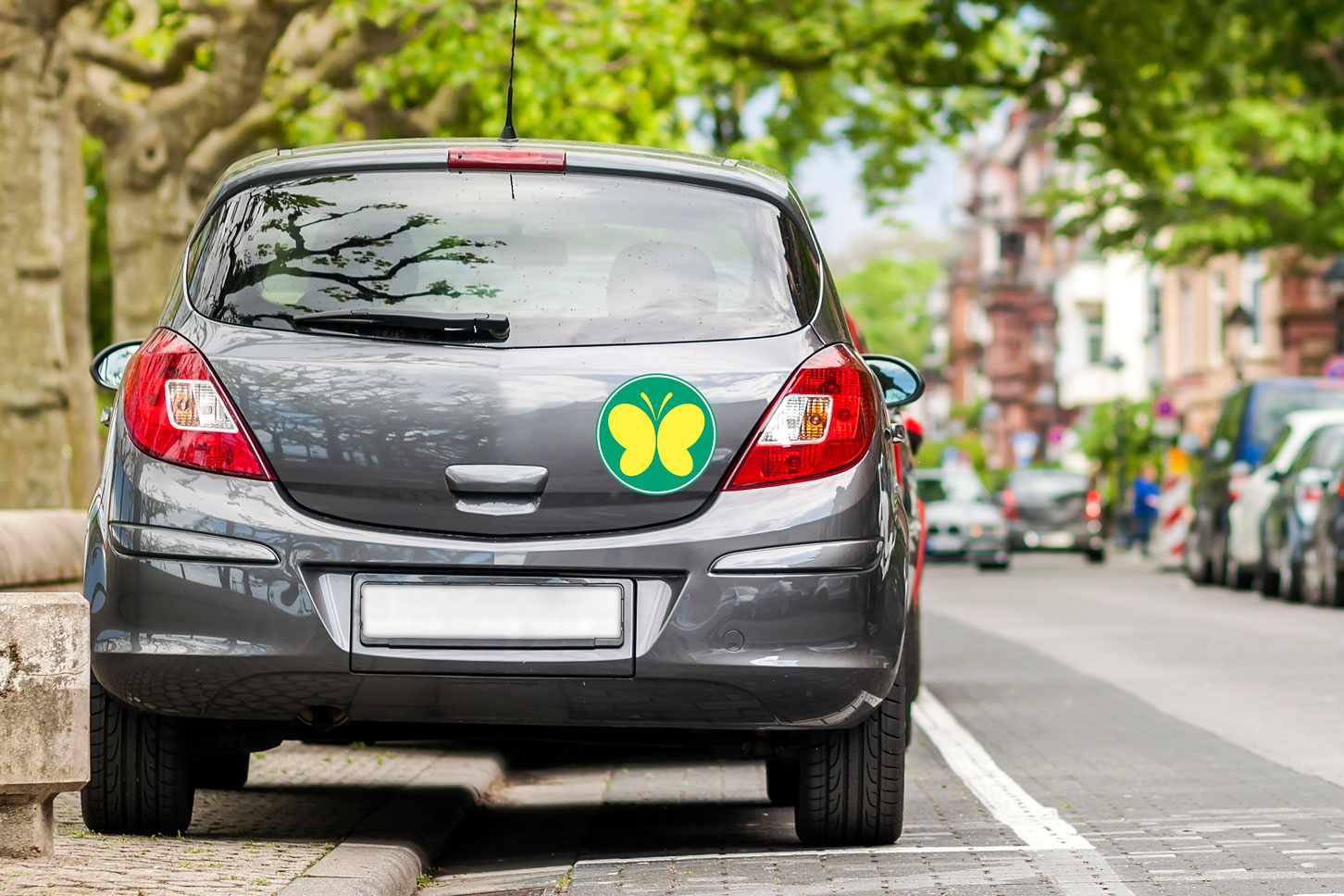 bieu-tuong-buom-buom