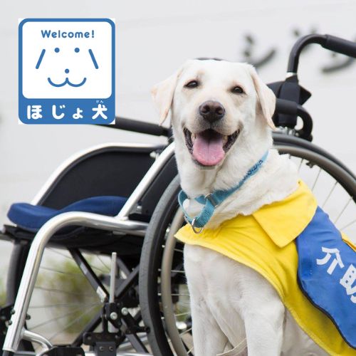 Những biểu tượng ý nghĩa dành riêng cho người khuyết tật ở Nhật