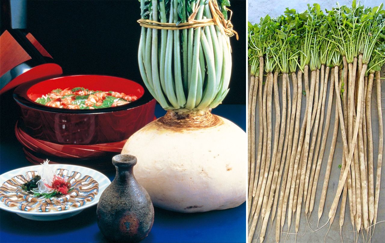 củ-cải-nhật-ghi-kỷ-lục-guiness