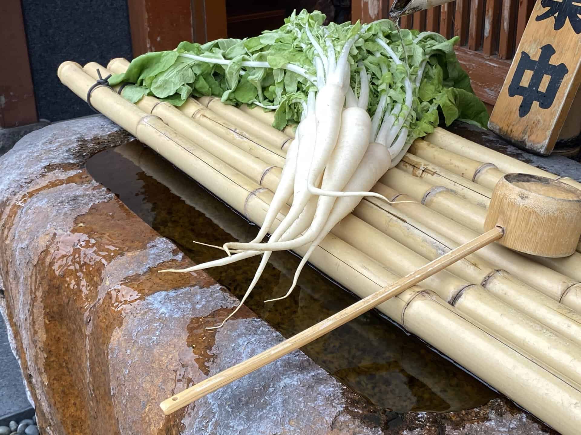 kameido-daikon