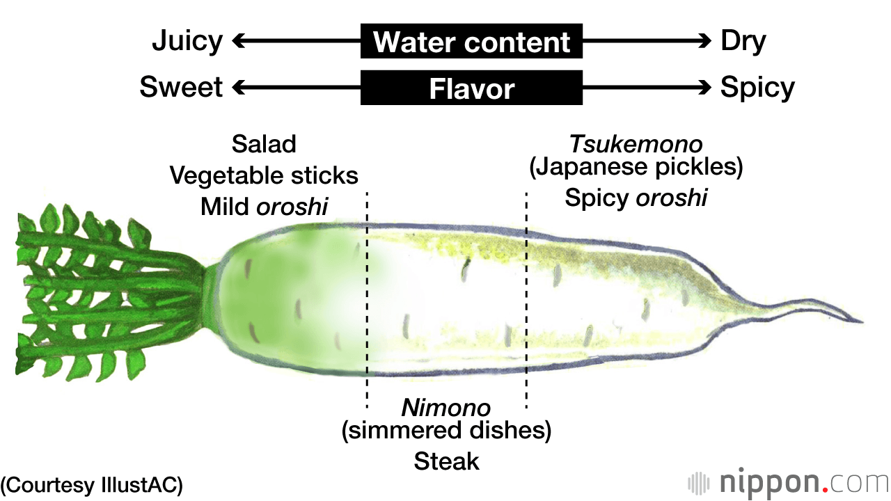 các-phần-của-daikon