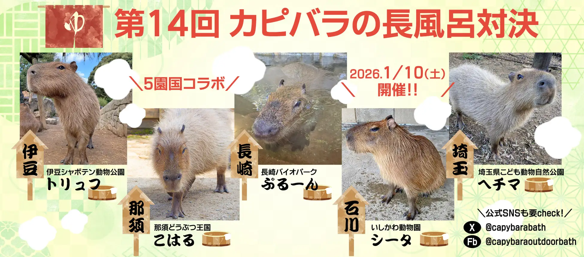 cuoc-thi-capybara