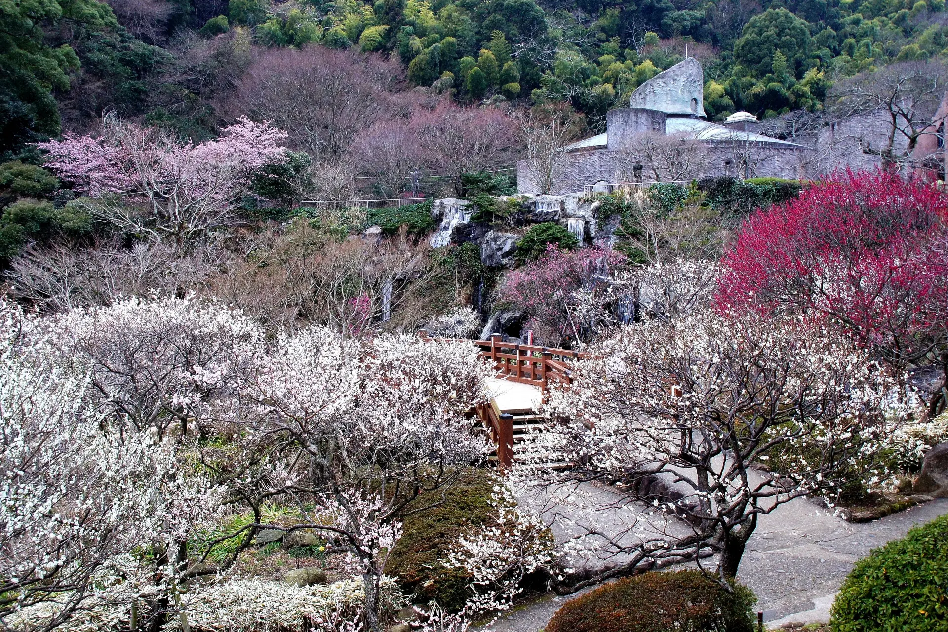 Atami-Baien-Ume-Matsuri-2