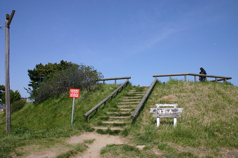 Hiyoriyama năm 2004 