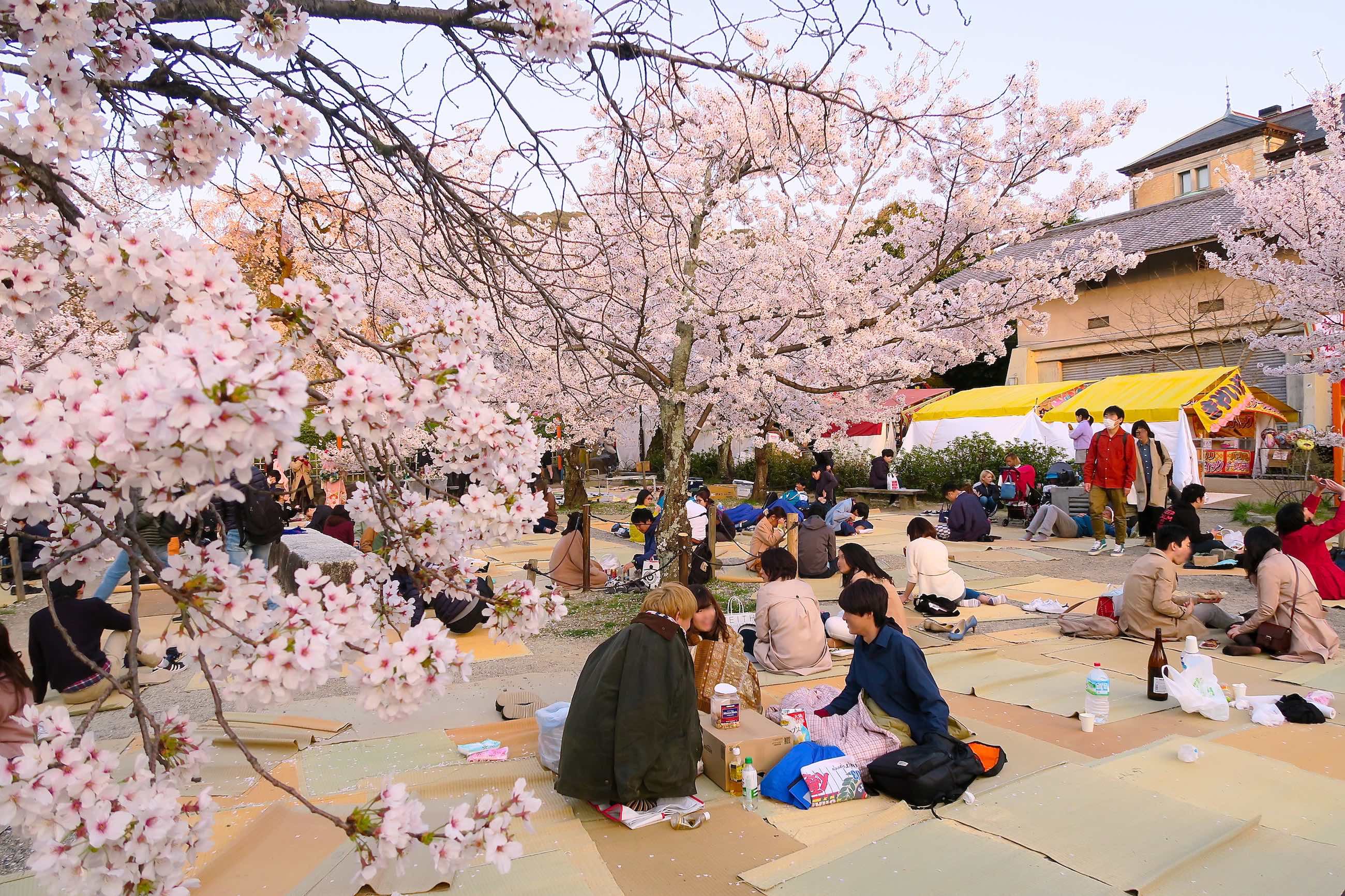 hanami