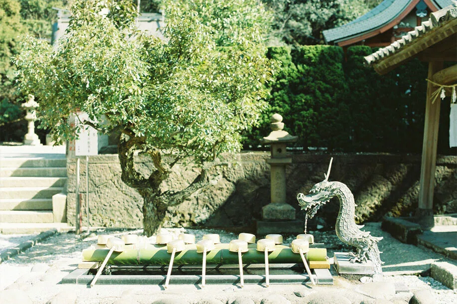 tượng-thủy-long-trong-đền-hayasuhime