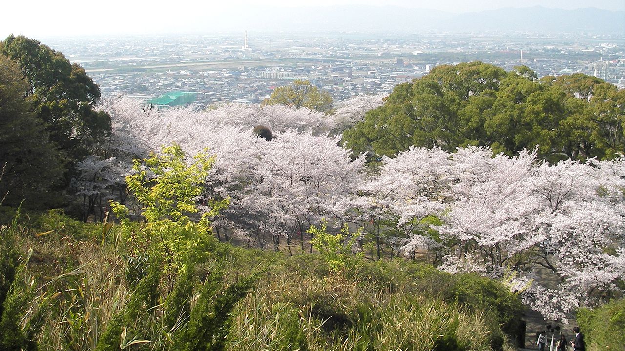 tokushima-seibu-park