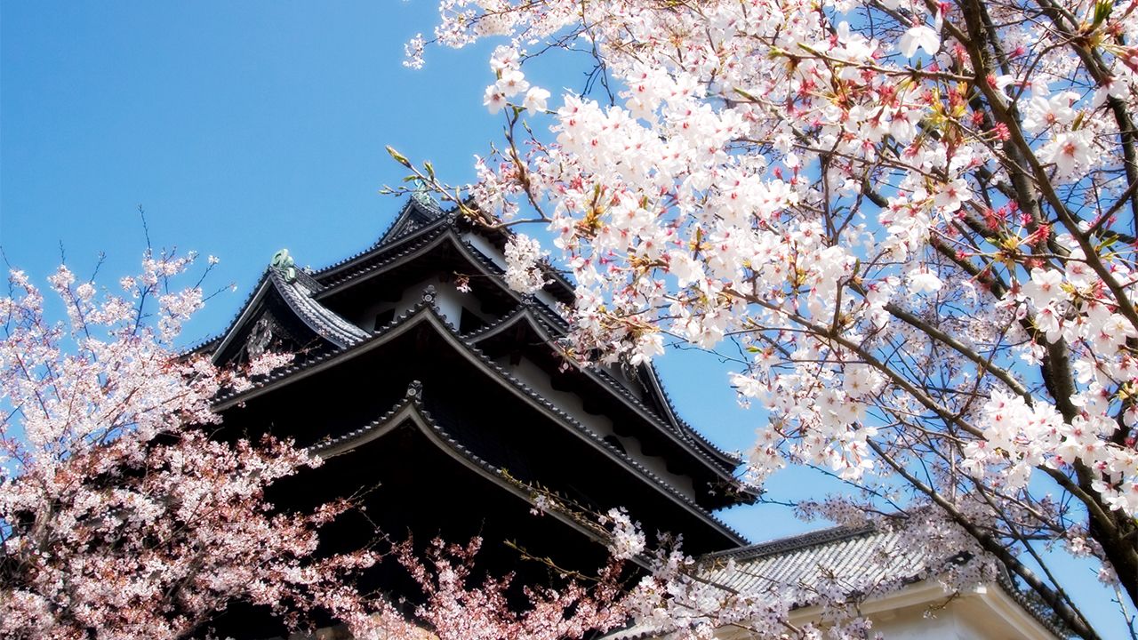 shimane-matsue-castle